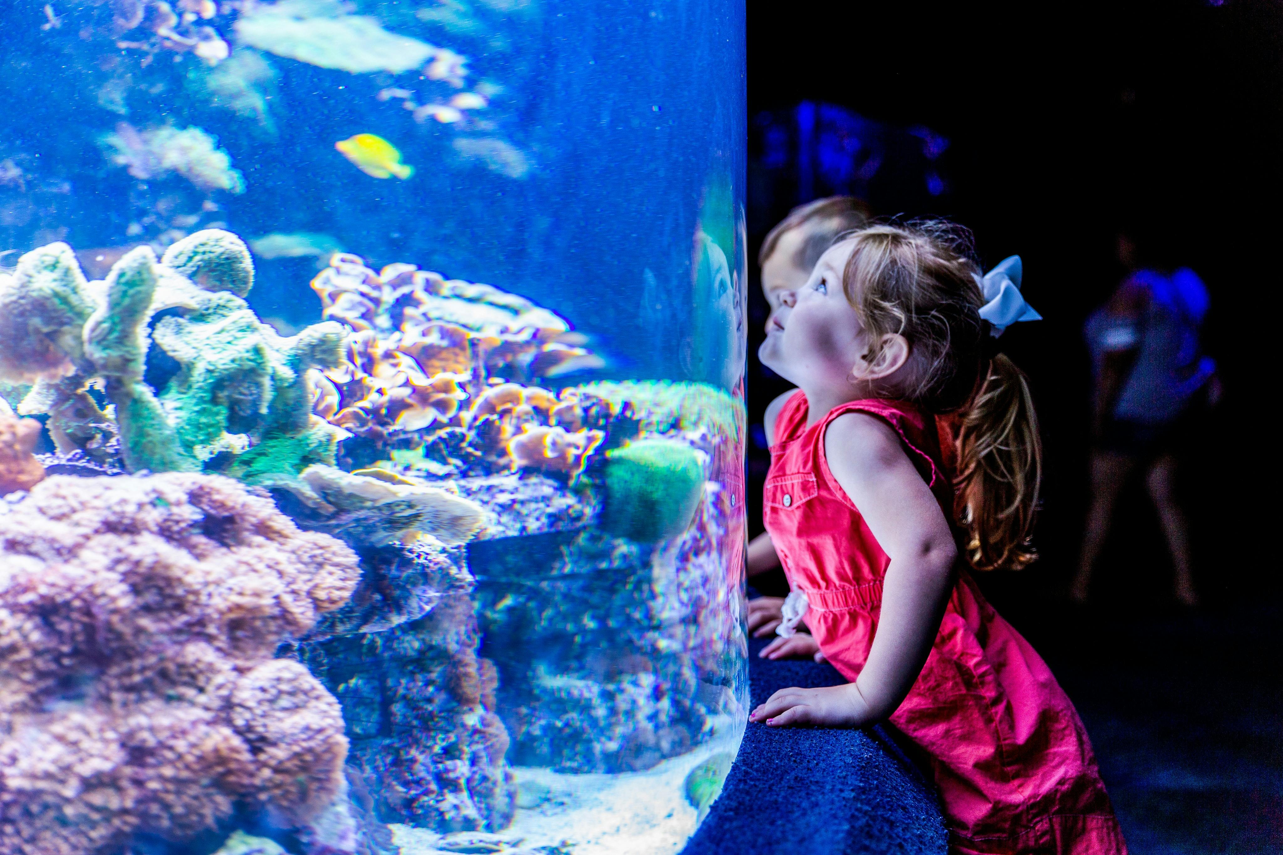 默特尔海滩瑞普利水族馆