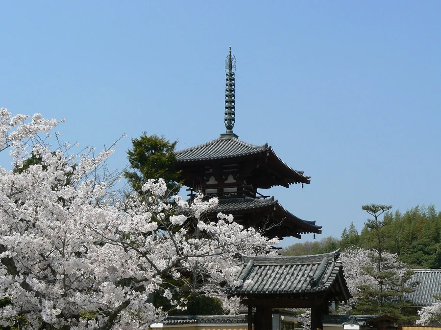 JR West Kansai Area Pass: 5-Day Ticket (Redemption Required)