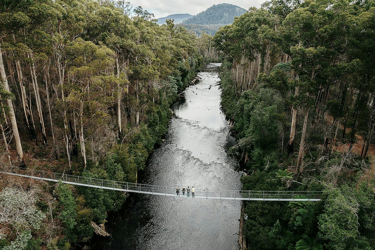 A suspension bridge spans over a river surrounded by dense forest, with a group of people standing in the middle of the bridge.