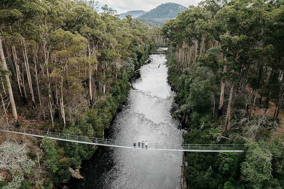 A suspension bridge spans over a river surrounded by dense forest, with a group of people standing in the middle of the bridge.