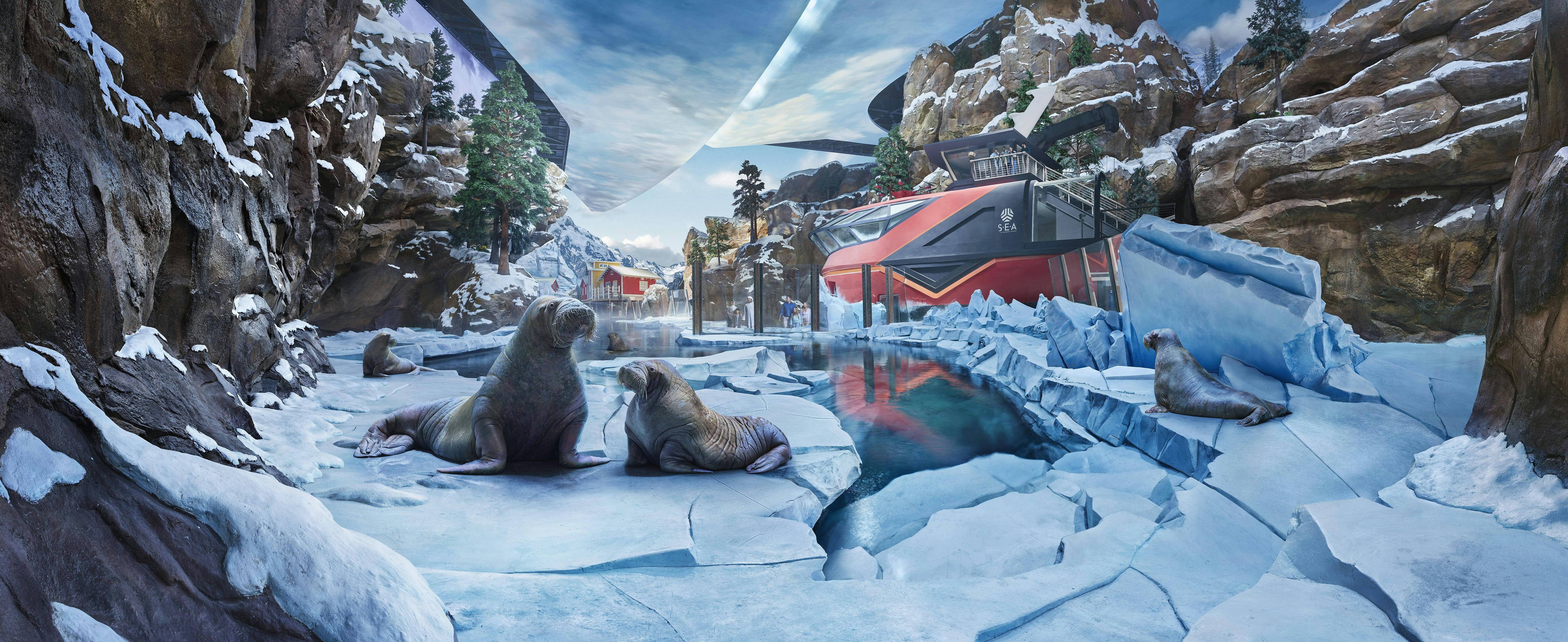 Δύο φώκιες ακουμπούν σε παγωμένο έδαφος δίπλα σε μια κρύα, ανακλαστική πισίνα, με χιονισμένους βράχους και δομές στο παρασκήνιο.