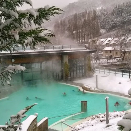 Roseo Euroterme Wellness Resort: Bilhete de entrada, spa e massagem + almoço - Photo 4