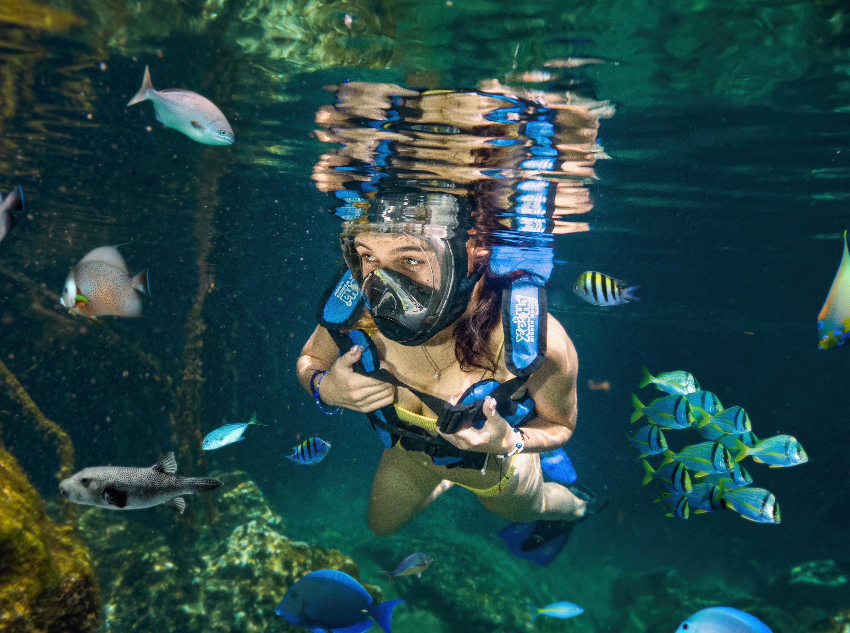 Personne en équipement de plongée avec tuba sous l'eau, entourée de poissons colorés dans un environnement aquatique clair.