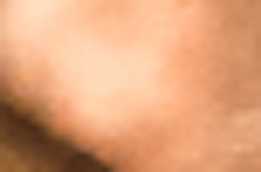 Gent biljetter till Museum of Fine Arts