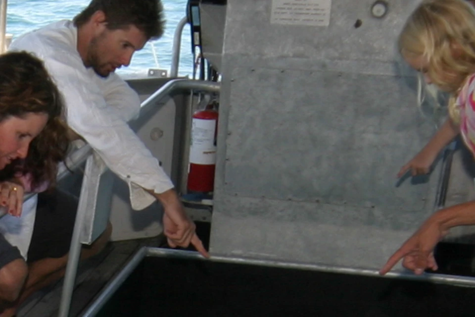 People on a glass-bottom boat observe the ocean below; children and adults are seated or leaning over.