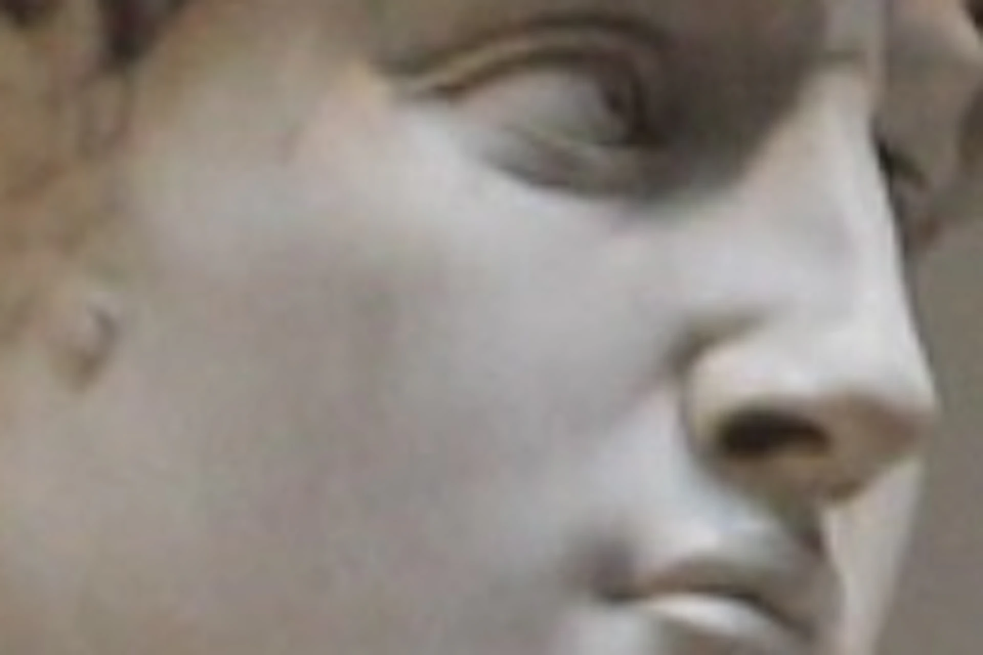 David