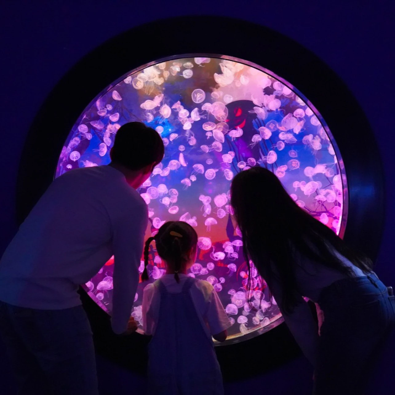 Lotte World Aquarium Seoul: Entry Ticket in Seoul β Tiqets