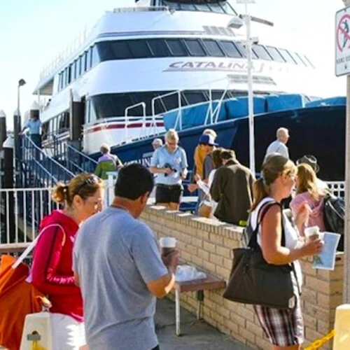 Catalina Island: Day Trip with Undersea Sub Expedition - Photo 5