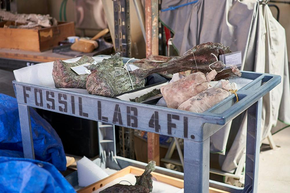 Natural History Museum of Los Angeles County: Guided Insider Tour - Photo 2