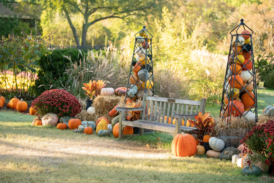 A wooden bench surrounded by pumpkins, hay bales, and fall decorations in a garden with greenery and autumn sunlight.