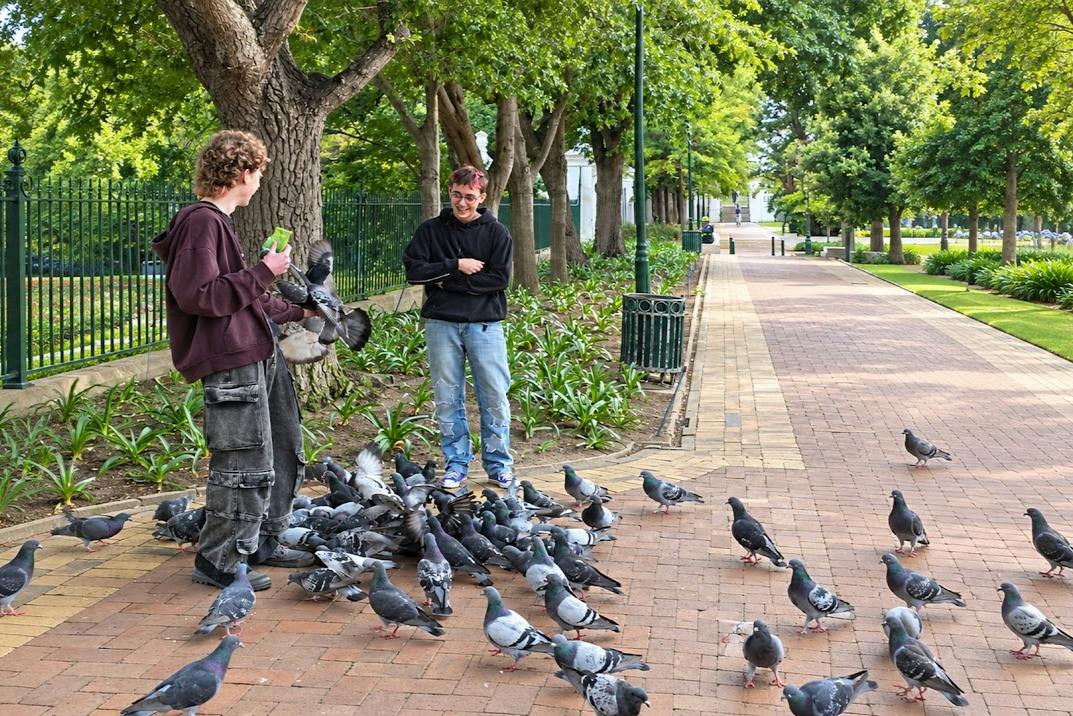 Two people standing near a flock of pigeons on a paved path in a park with trees and greenery in the background.