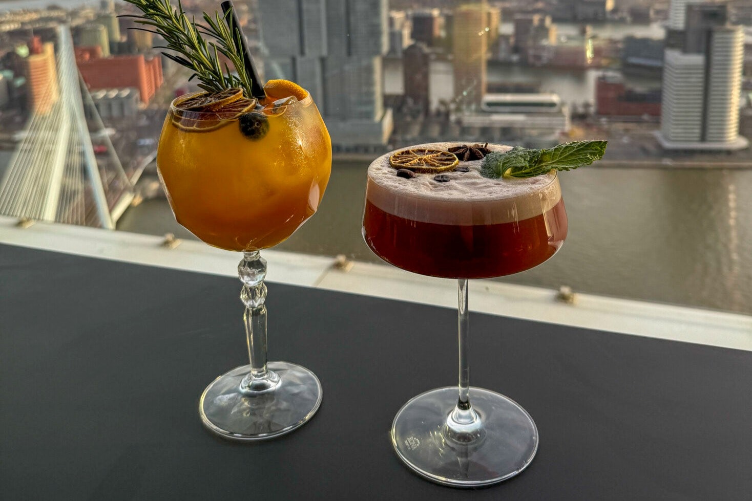 Rotterdam Celest Tower: Skyline View with Cocktail