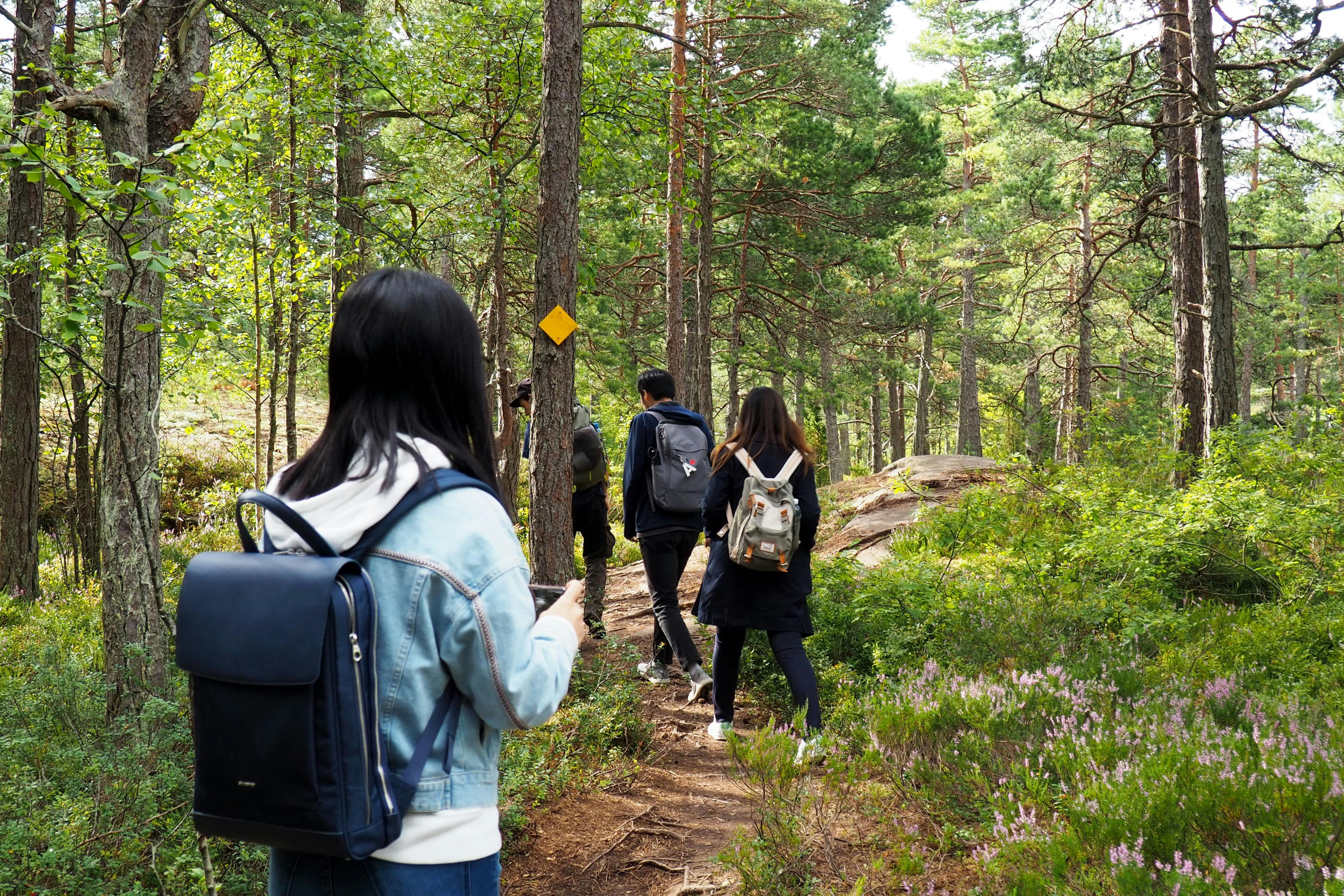 フィンランドのタイガの森を歩いてバルト海へ