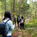 Walking through the Finnish taiga forest to the Baltic Sea