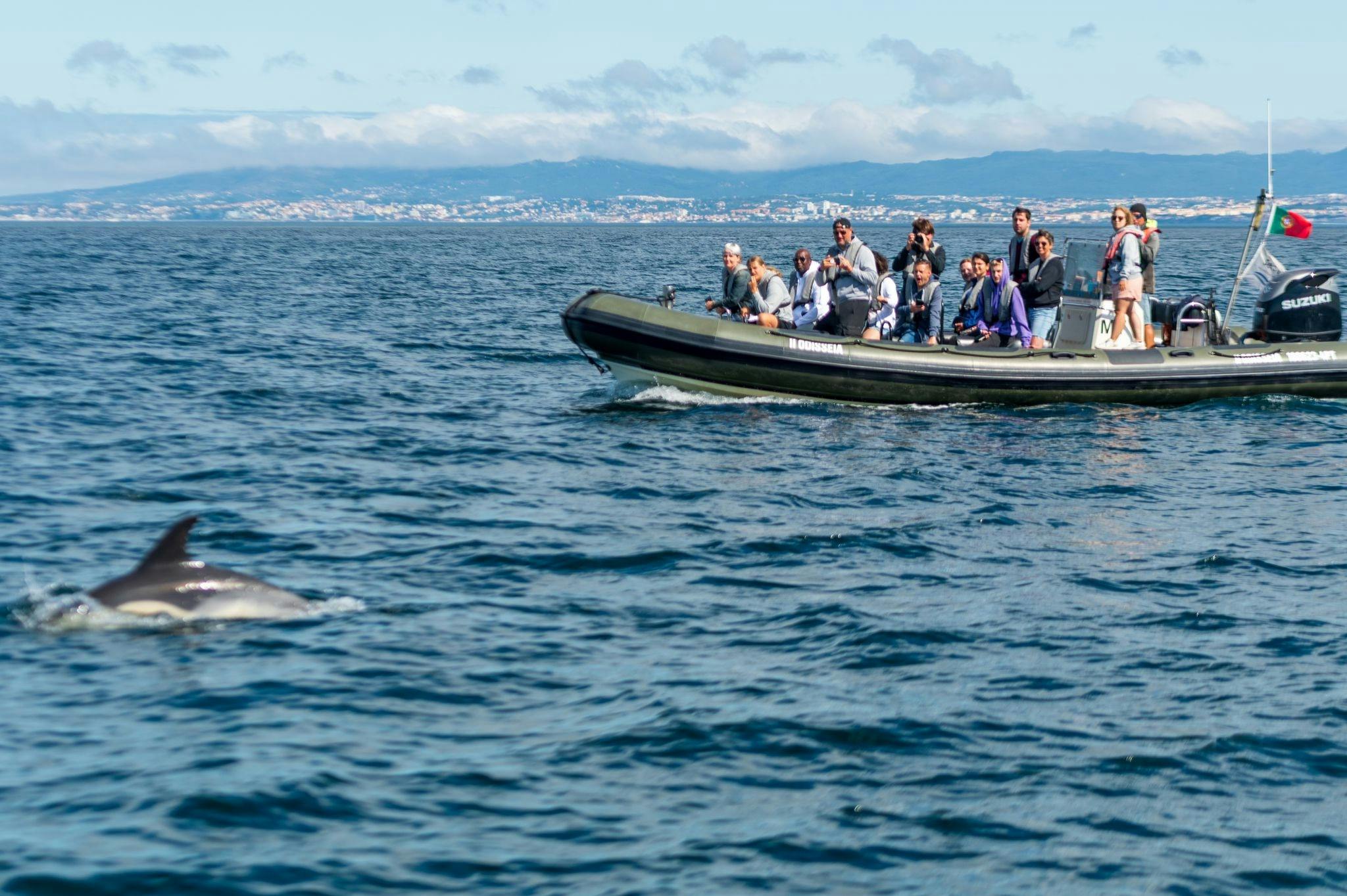 リスボンドルフィン