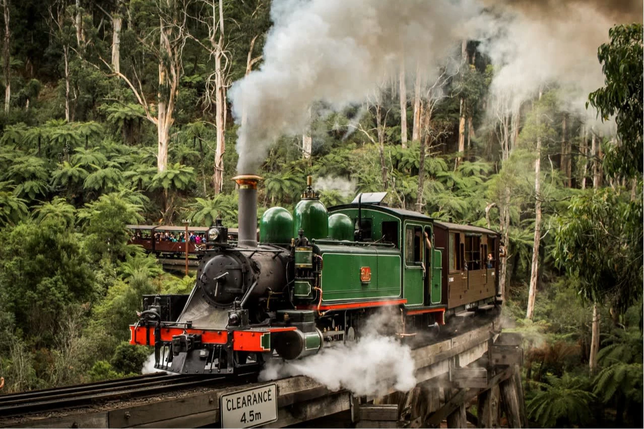 Puffing Billy Railway: Roundtrip Ticket