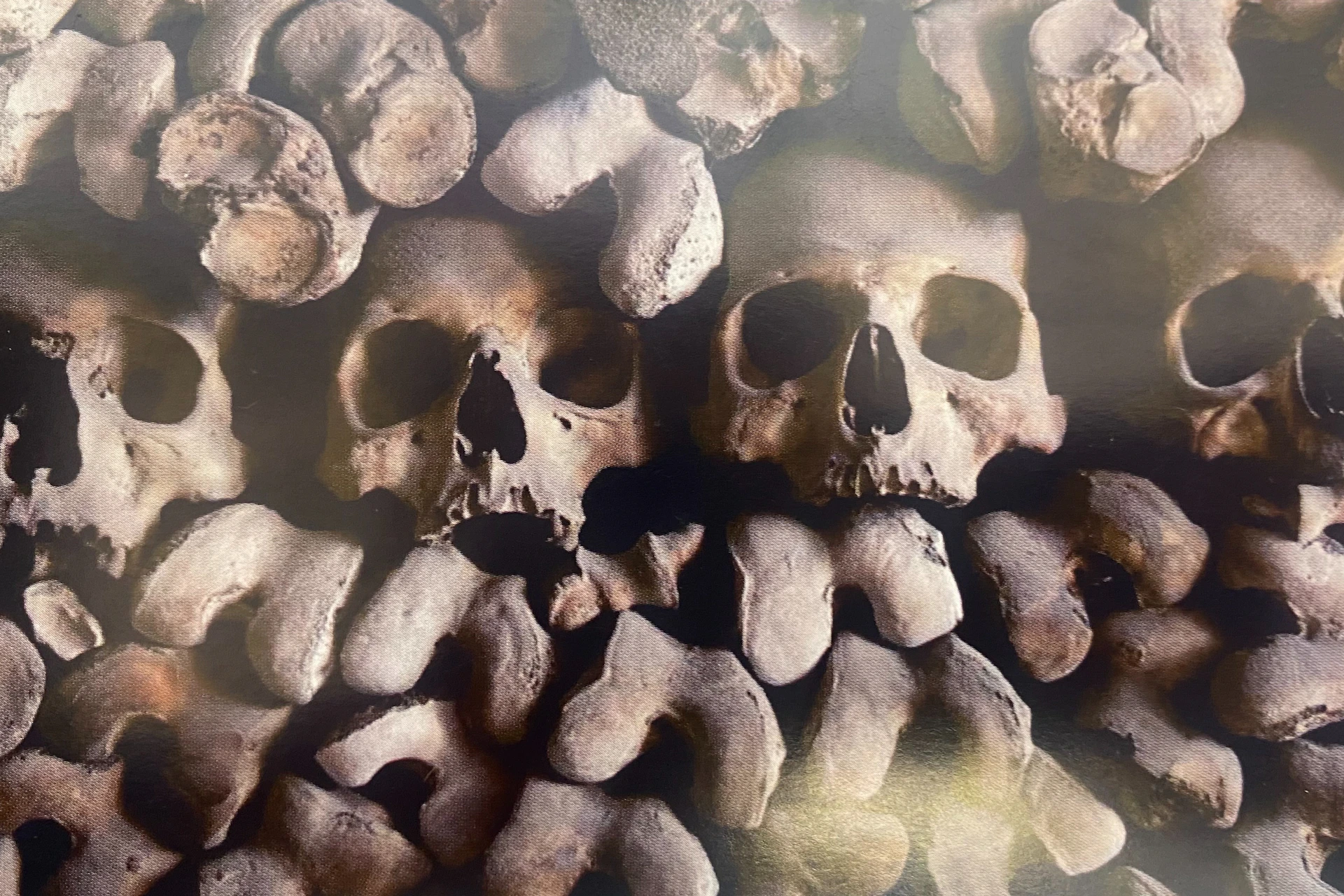 bones