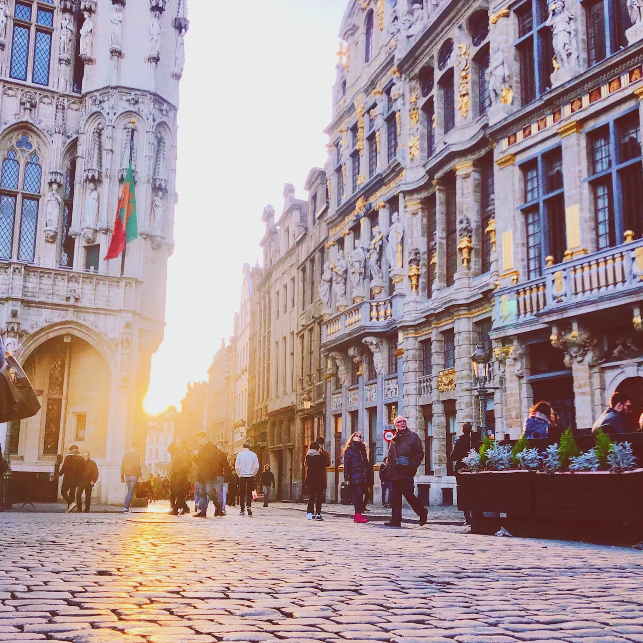 Brussels: Highlights Walking Tour and Bus Tour