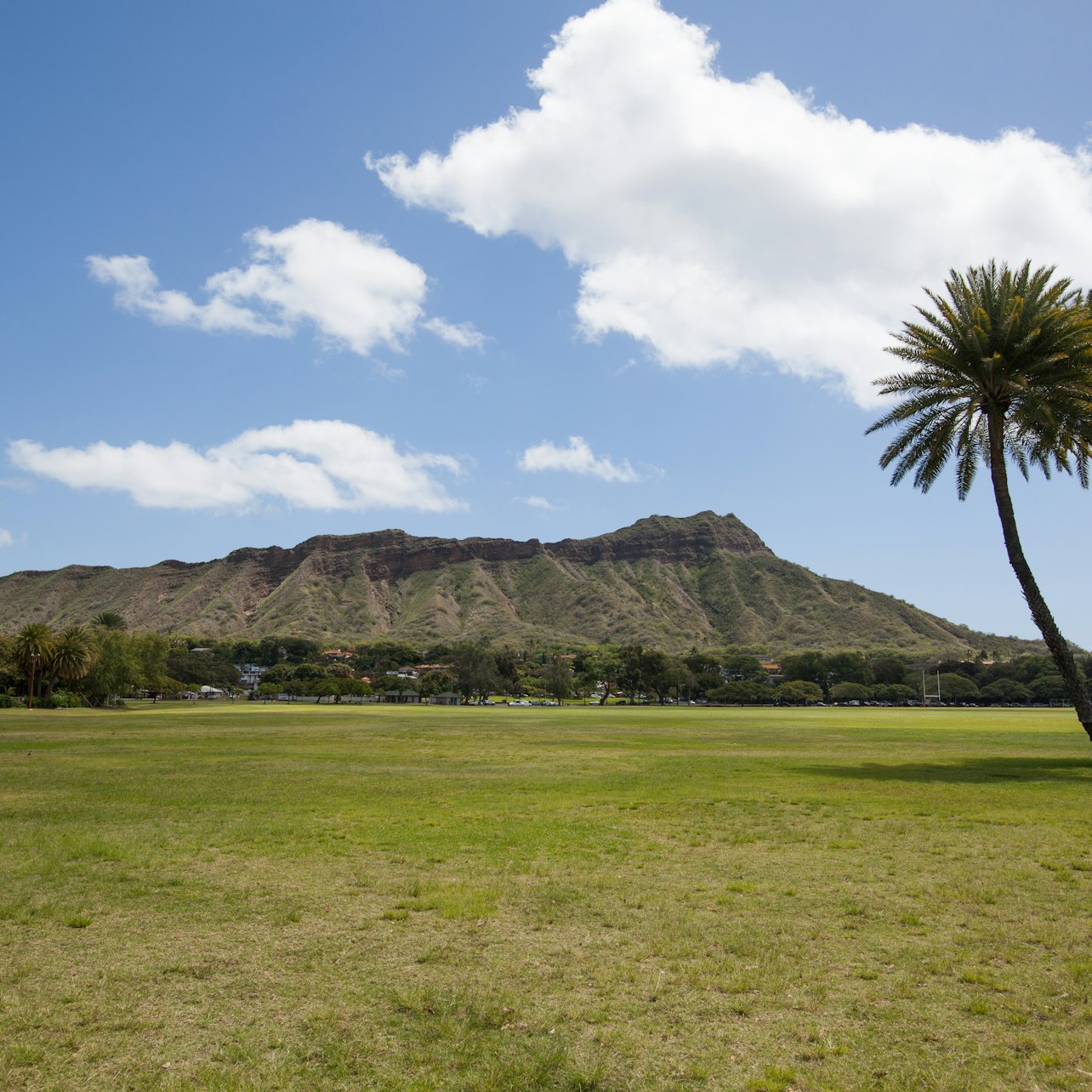 Diamond Head State Monument: Visita libre con audio - Alojamientos en Honolulu