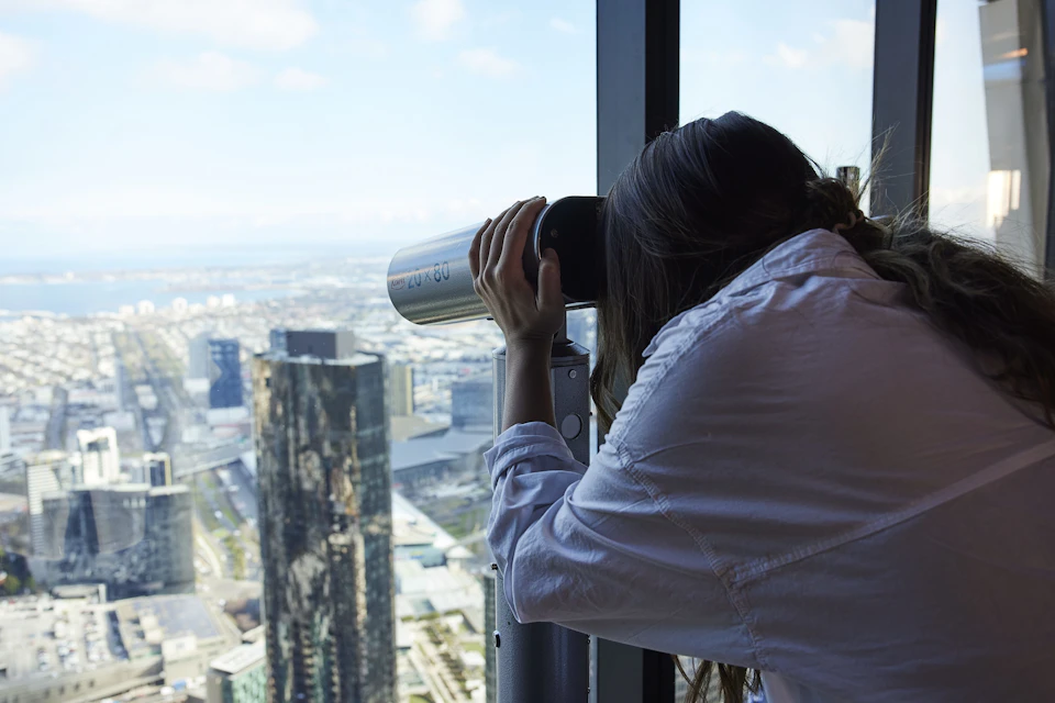 Person looking through a coin-operated telescope at a cityscape from a high viewpoint.