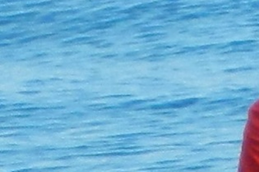 Excursión a la Isla Moreton desde Brisbane y pase de aventura