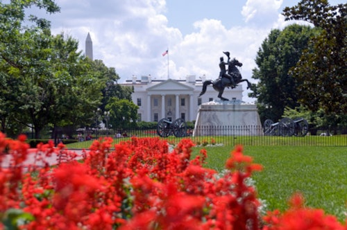 Washington, D.C. Highlights: Guided Bus Tour