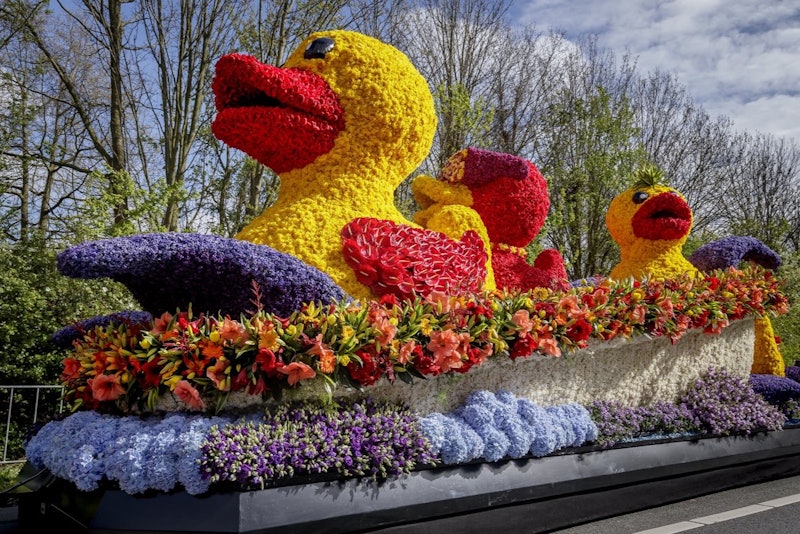 Duck Parade Keukenhof & Flower Parade: Entry Ticket + Tulip Tour | Book Online
