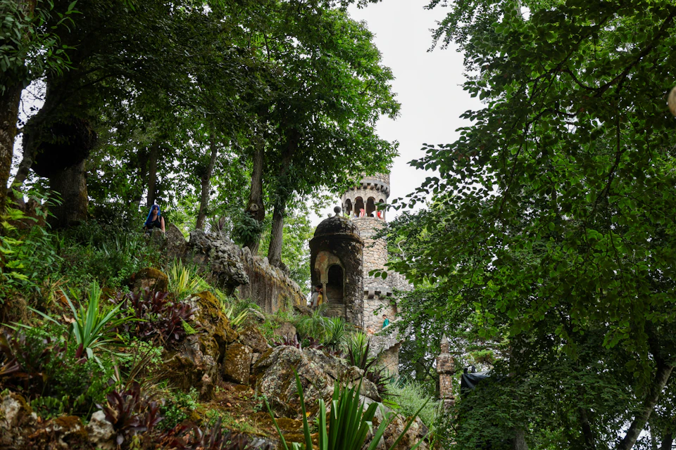 A stone tower with an archway is partly obscured by lush green trees and vegetation, with rocks and plants in the foreground.