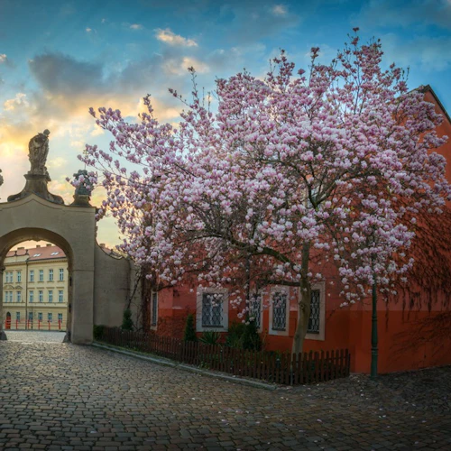 Prague Castle District: Guided Tour - Photo 3