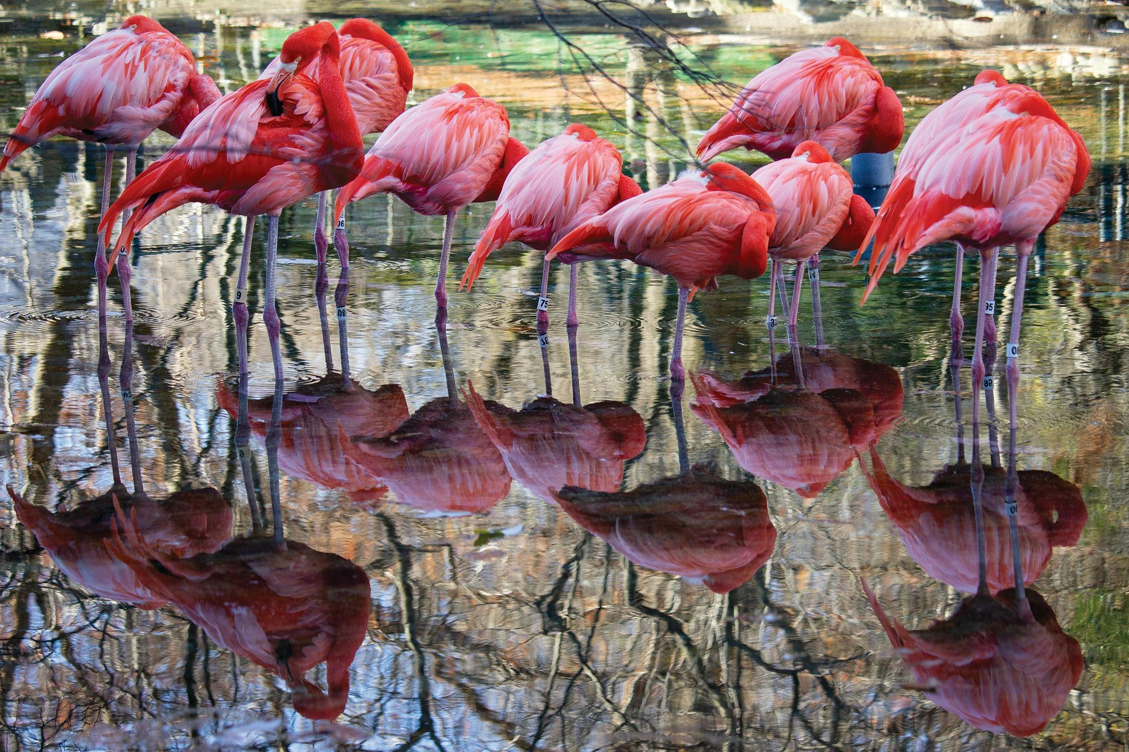 Philadelphia Zoo tickets Philadelphia