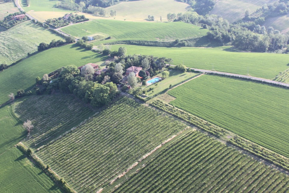 View of our Villa of the Elms