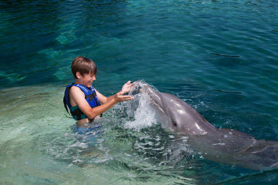 A boy wearing a life vest interacts joyfully with a dolphin in clear, shallow water.