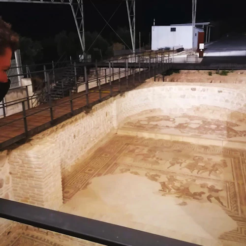 Sítio arqueológico Villa Romana de Fuente Álamo: tour com audioguia - Photo 4