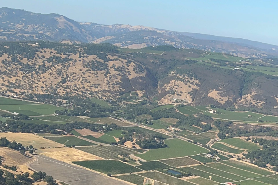 Wine Valley