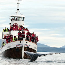 Tours & Sightseeing | Husavik Whale Watching things to do in Húsavík