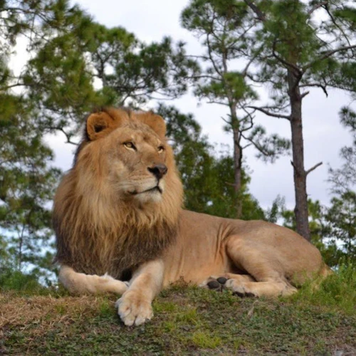 Go City Orlando: All Inclusive Pass with 30+ Attractions including LEGOLAND® - Photo 12