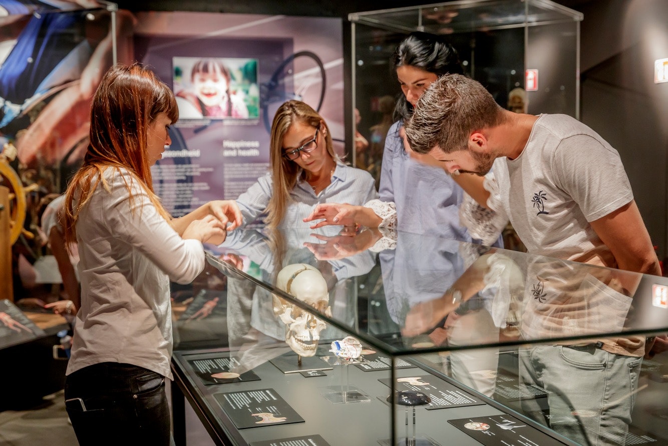 BODY WORLDS Museum Heidelberg - Anatomia da Felicidade