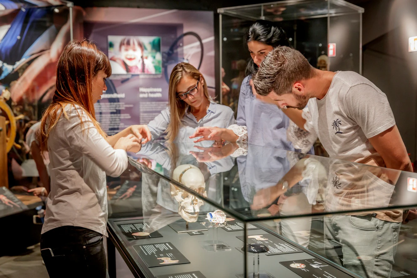 BODY WORLDS Museum Heidelberg - Anatomy of Happiness