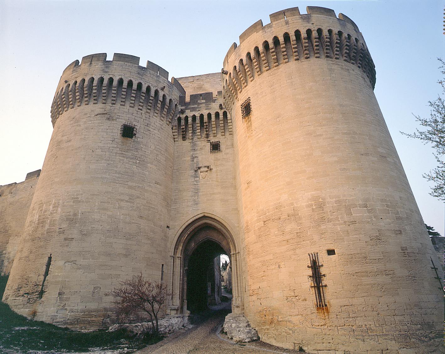 石头城堡有两座大圆塔，一个拱形入口，小窗户，前面有一棵树。