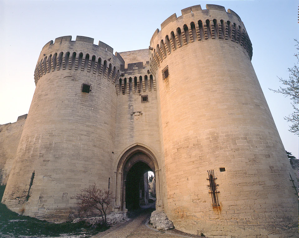 Stone castle with two large round towers, an arched entrance, small windows, and a tree in front.