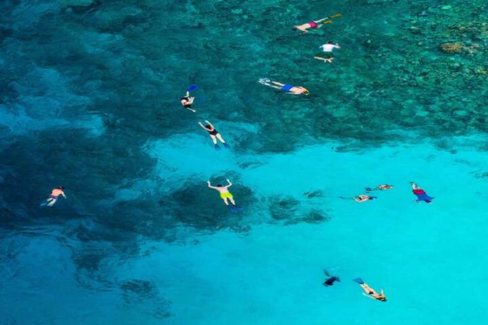 Šnorchlování s Dugongem v přístavu Marsa Muarak, Ghalib, Marsa Alam.