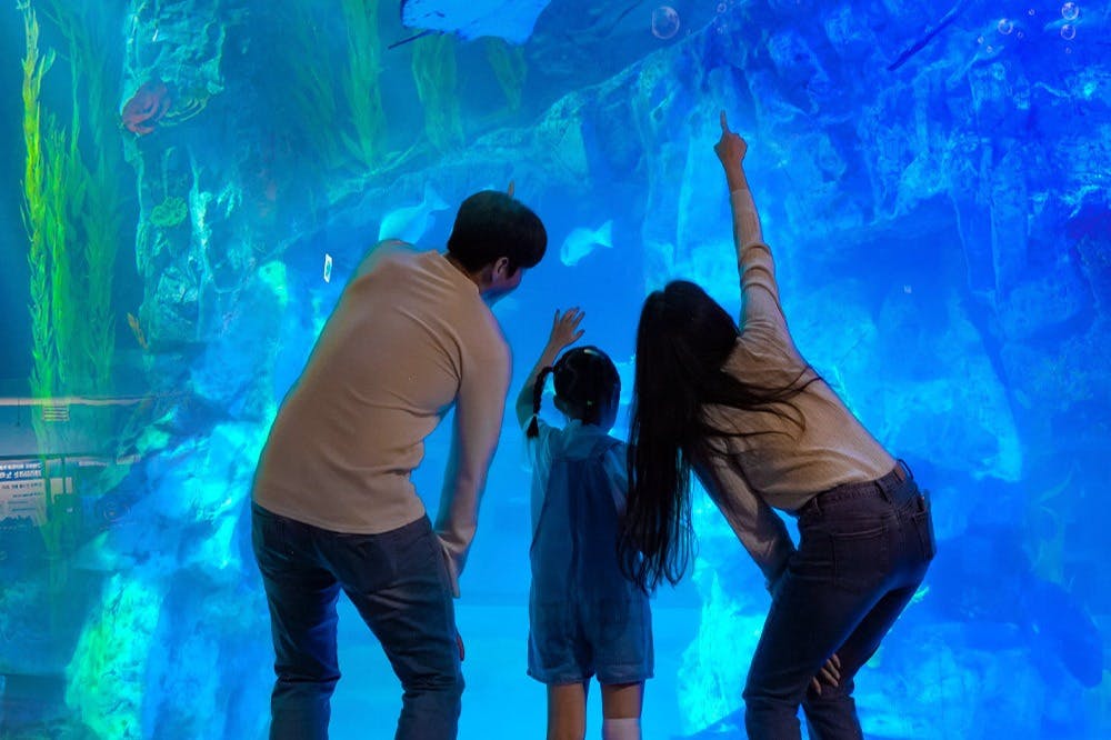 Three people, seen from behind, looking and pointing at fish inside a large blue aquarium tank.