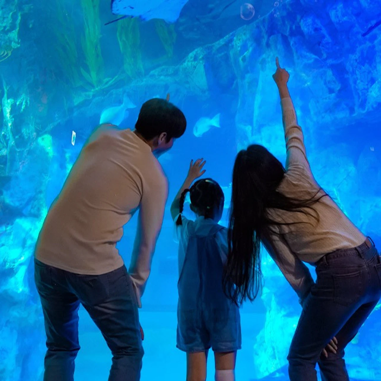 Lotte World Aquarium Seoul: Entry Ticket in Seoul β Tiqets