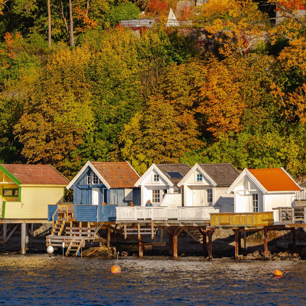 Oslo: Silent Fjord Cruise in Oslo – Tiqets