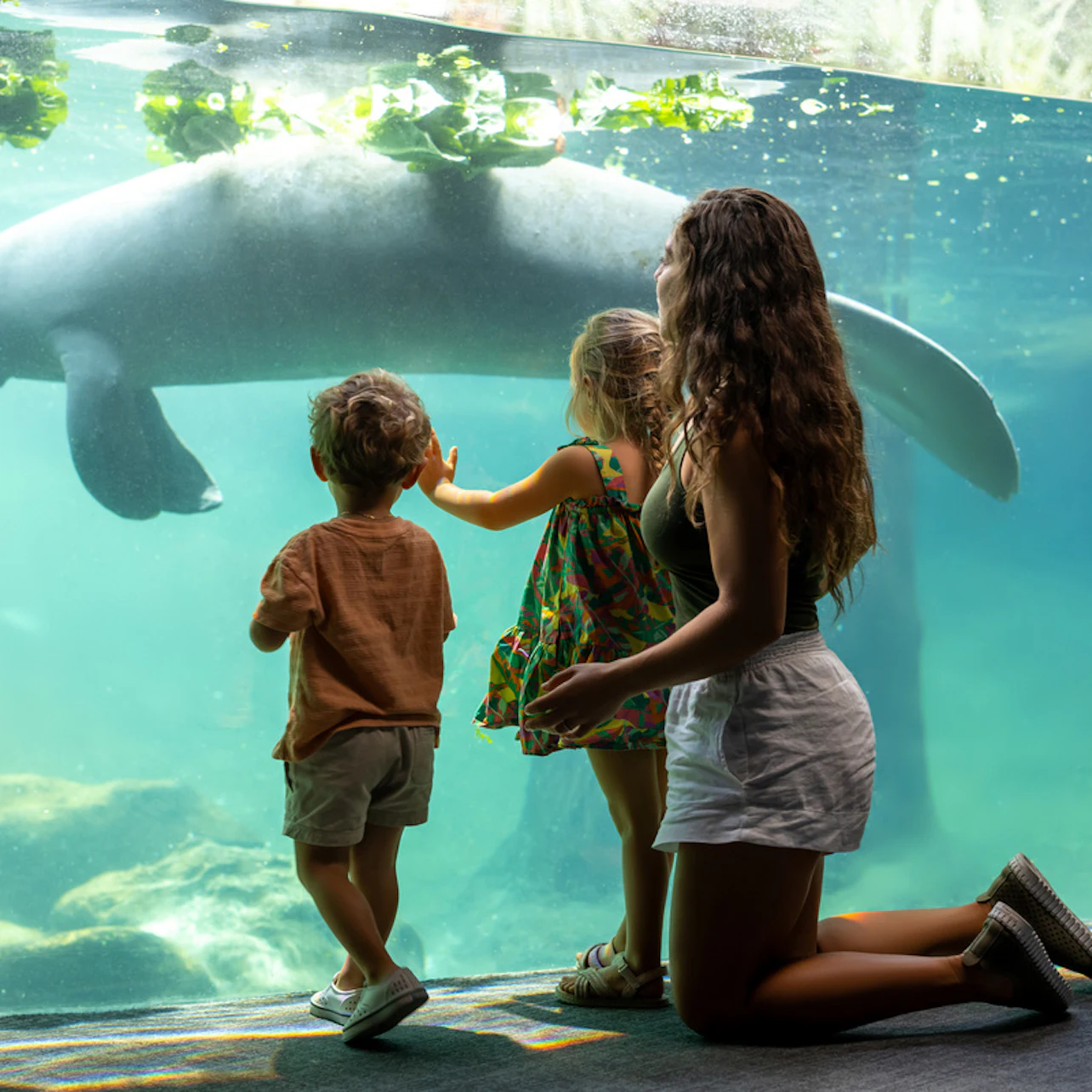 Three people, including two children and an adult, observe a manatee swimming behind glass at an aquarium exhibit.