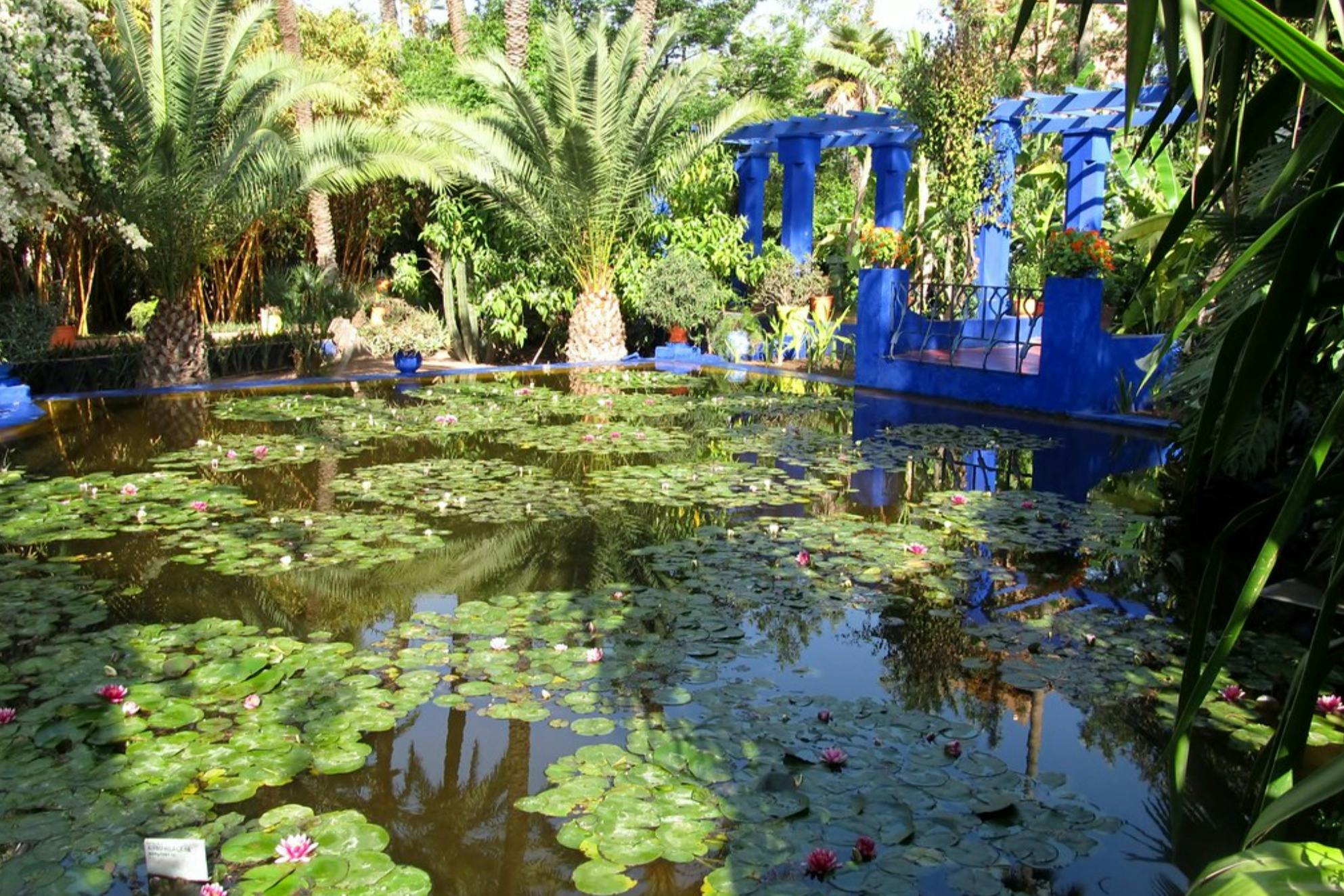 Marrakesh: Tour guidato dei Jardin Majorelle + Trasferimenti — 4