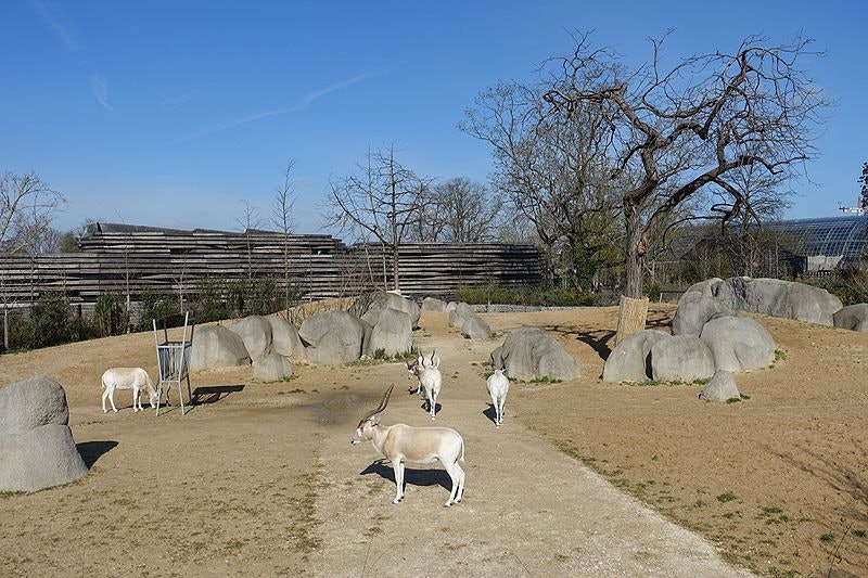 Парижский зоопарк Парижский зоопарк