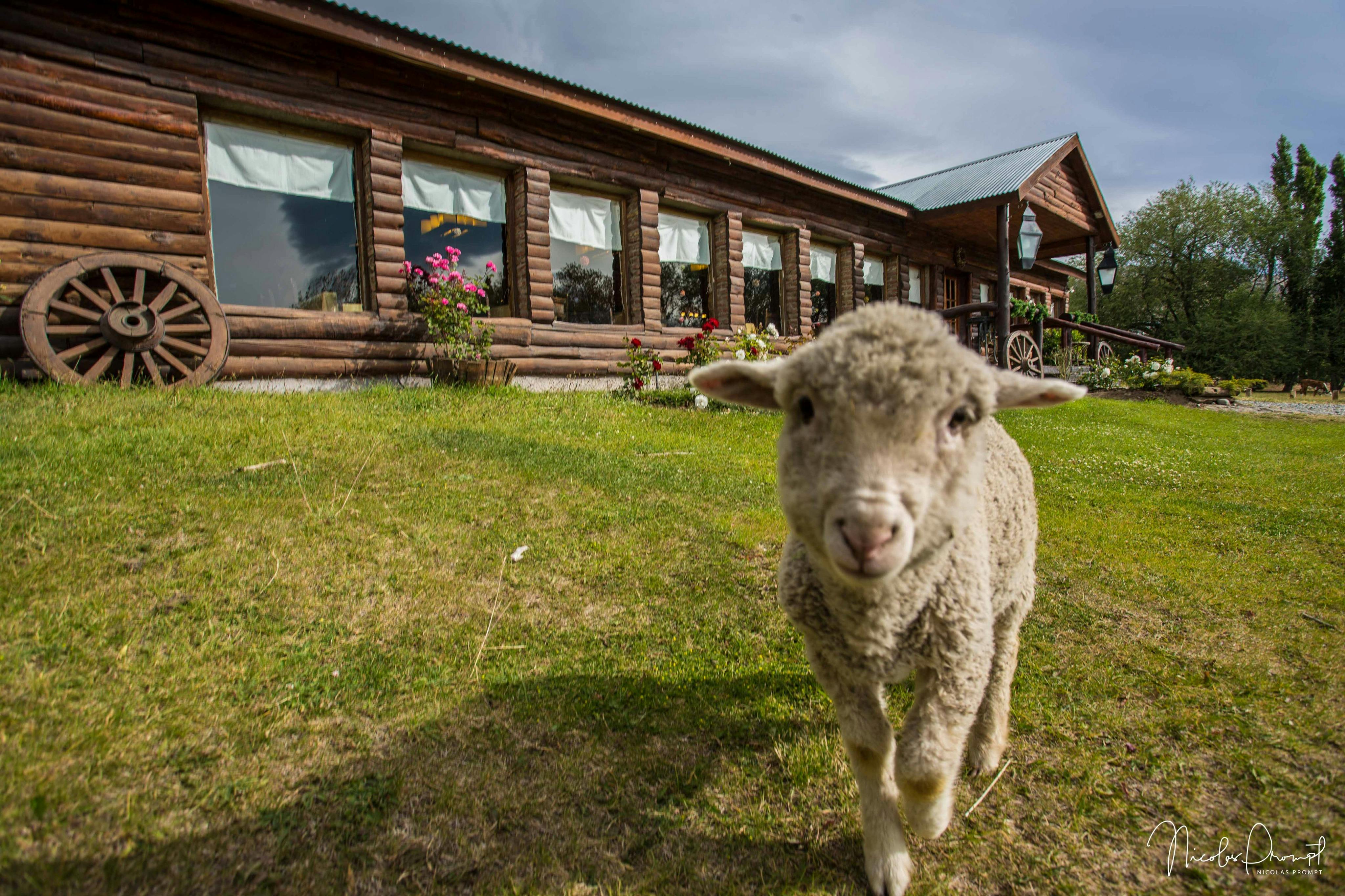 Fique até 25 de maio