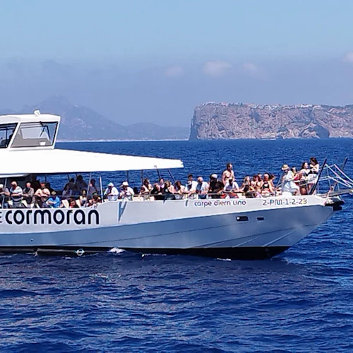 Port d'Andratx: Catamaran Cruise from Mallorca - Photo 14