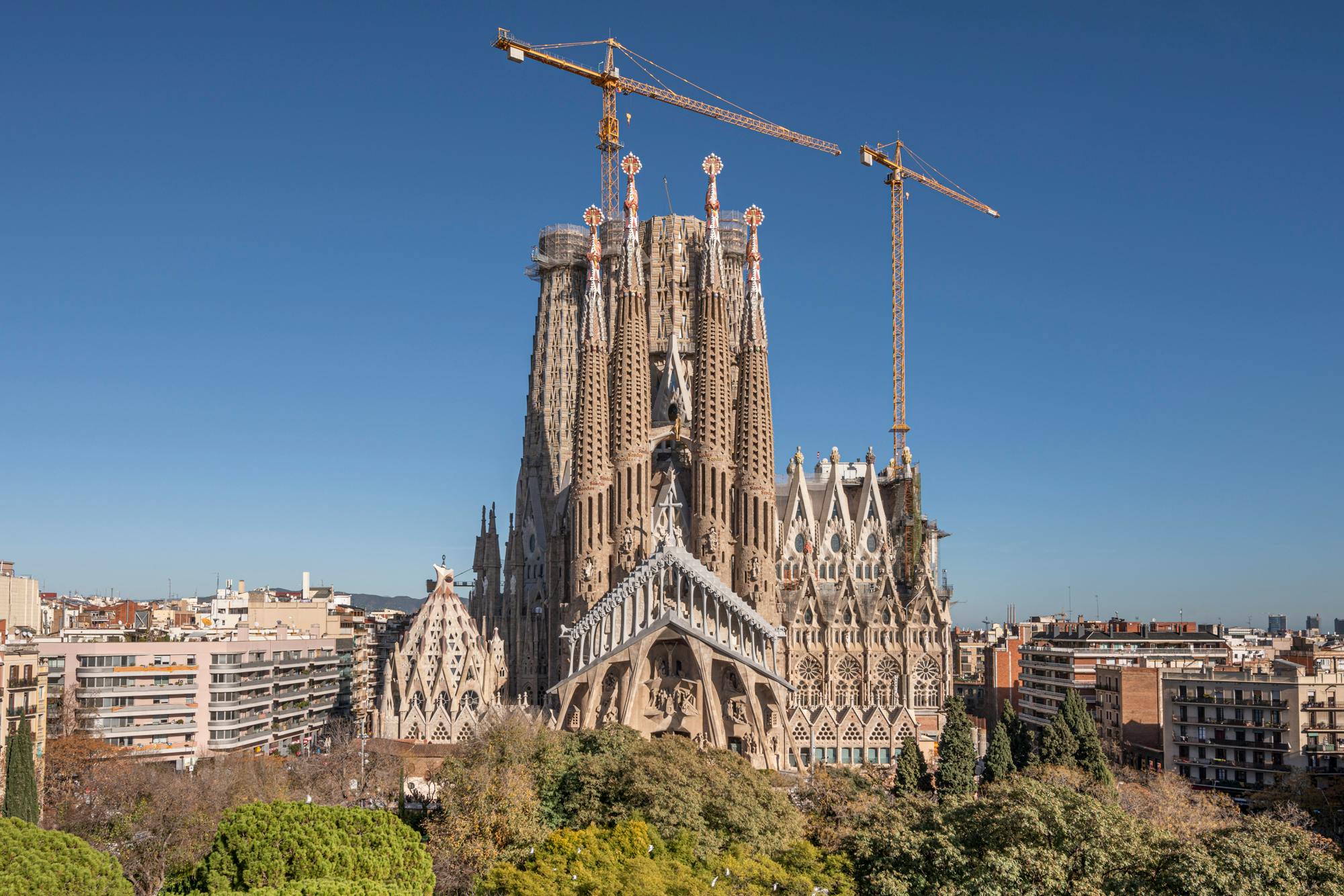 Vy över La Sagrada Família i Barcelona med tranor ovanför och träd i förgrunden under en klarblå himmel.